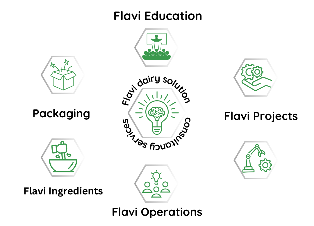 Team flavi provides different consulting services. Image shows all the consulting service in single place